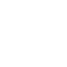 Red Rose  Breakfast Icon