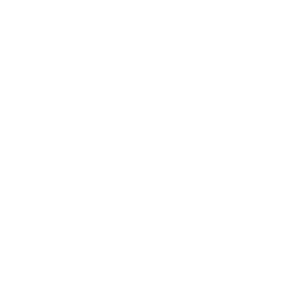 Red Rose  Breakfast Icon