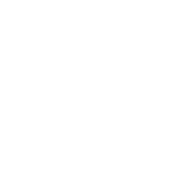 Red Rose  Breakfast Icon